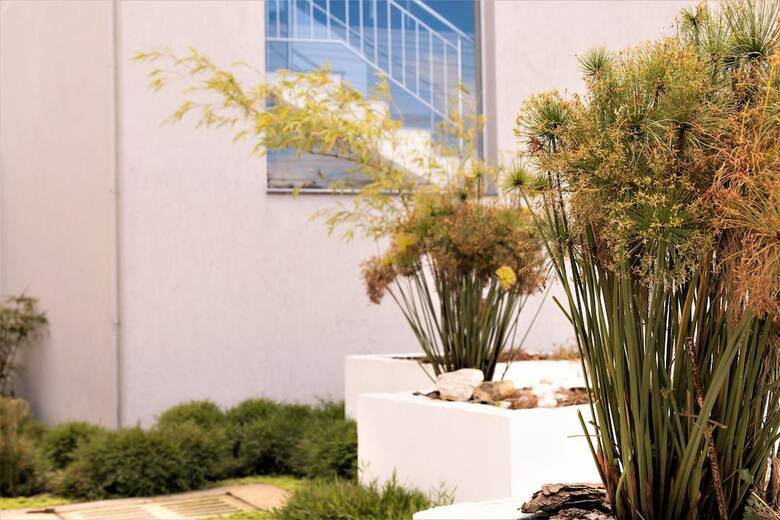 Pinn� Business Hotel