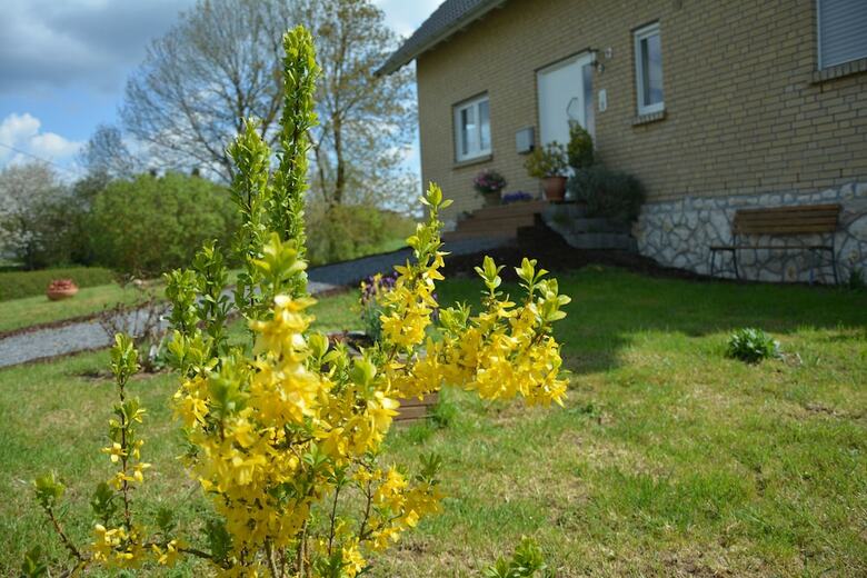 Hotel G�stehaus Celine