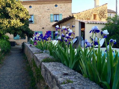 Bed & Breakfast Maison D'h�tes Le Mas De Lila