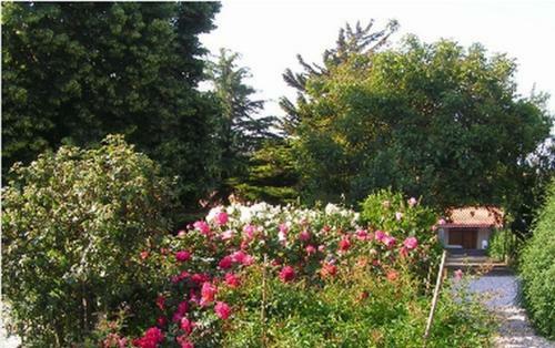 Bed & Breakfast Chambres D'h�tes La Forterie