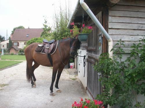 Bed & Breakfast Le Clos Des Perraudi�res