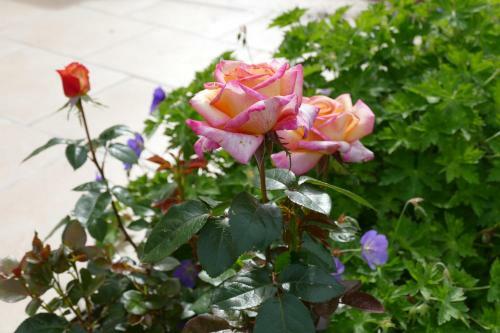 Bed & Breakfast Le Clos Des Perraudi�res