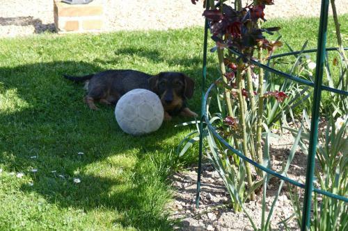 Bed & Breakfast Le Clos Des Perraudi�res