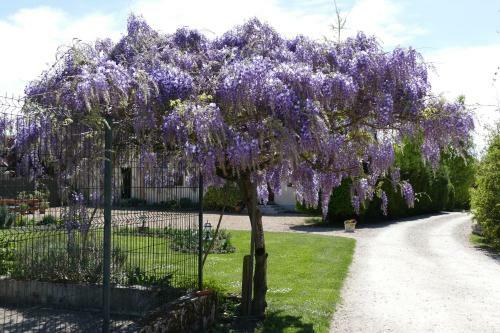 Bed & Breakfast Le Clos Des Perraudi�res