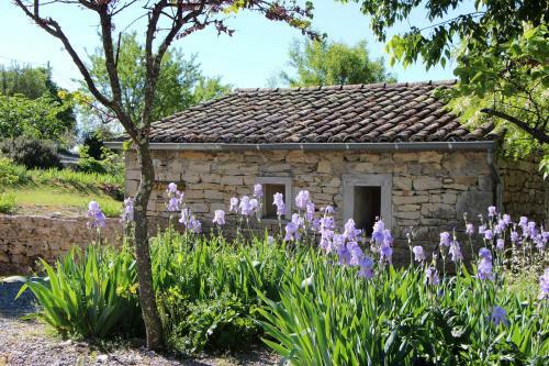 Gites Mas De La Bastide