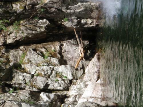 Village De Chalets Camping Bois Simonet