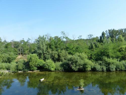 Logis Hotel Les Cedres