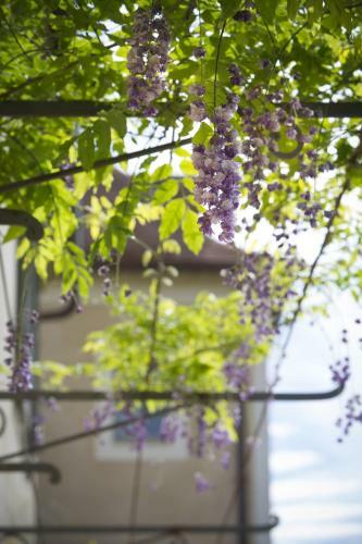 Hotel H�tel Le Saint Cirq
