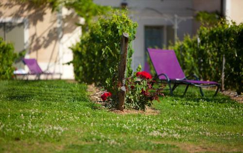 Hotel H�tel Le Saint Cirq
