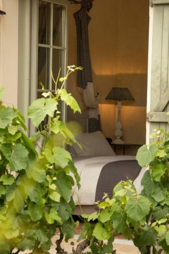 Hotel H�tel Le Saint Cirq