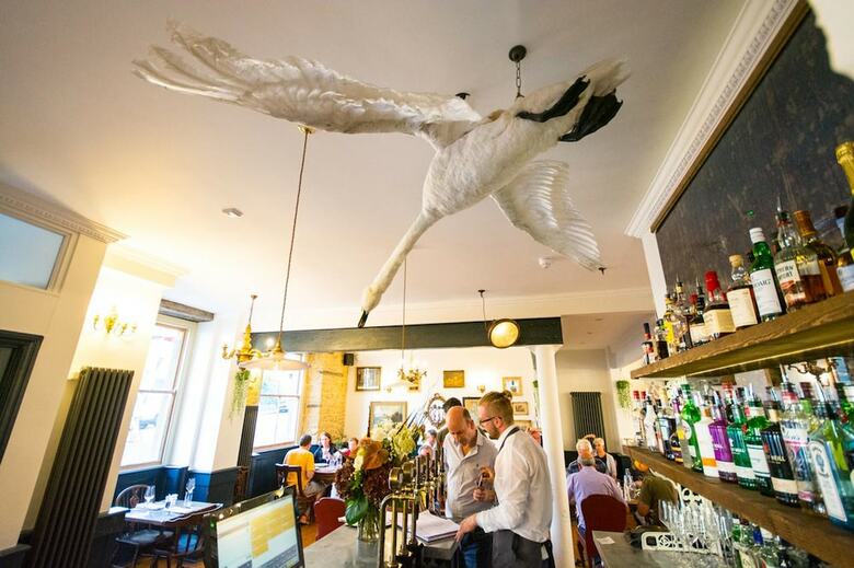 Hotel The Crooked Swan