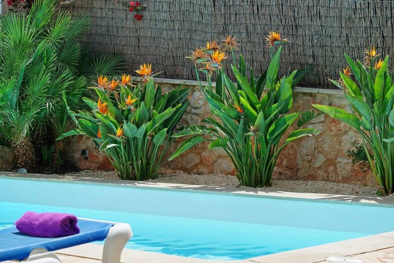 Villa Miguel Angel