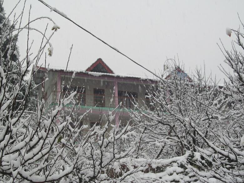 Hotel Manali Top Inn And Cafe