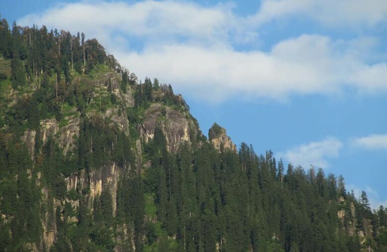 Hotel Manali Top Inn And Cafe