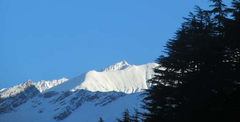 Hotel Manali Top Inn And Cafe