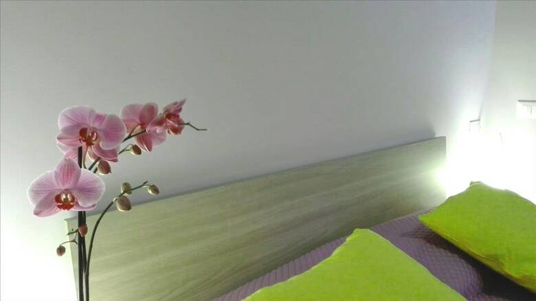 Hotel Maria Dream Rooms