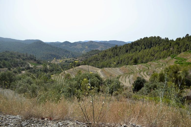 Apartamentos Cal Campana - Adults Only