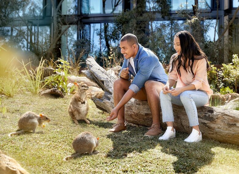 Hotel Wildlife Retreat At Taronga
