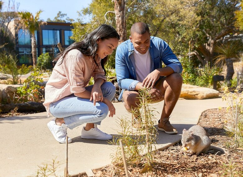 Hotel Wildlife Retreat At Taronga