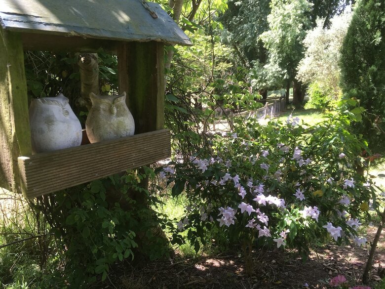 Hotel Summerhill Farm B&B