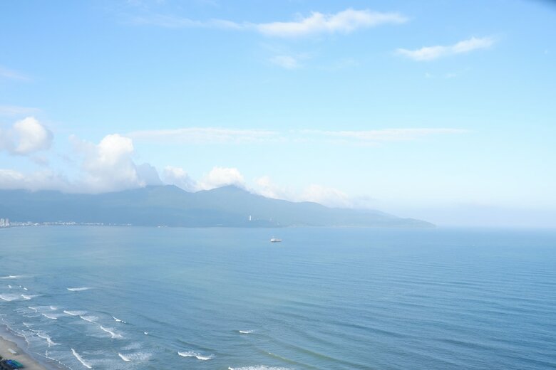 Da Nang Daisy Apartment
