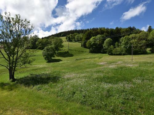 Chalet La Bergerie Saulxures Sur Moselotte