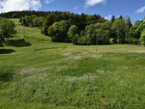 Chalet La Bergerie Saulxures Sur Moselotte