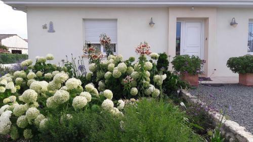 Bed & Breakfast Le Phare