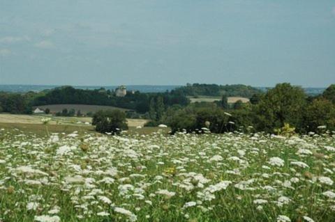 Le Manoir De Presle - G�te