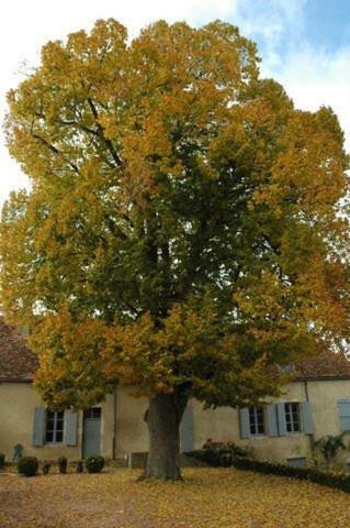 Le Manoir De Presle - G�te