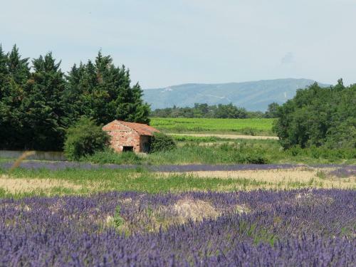 Lodge Holiday Home Romarin Valreas