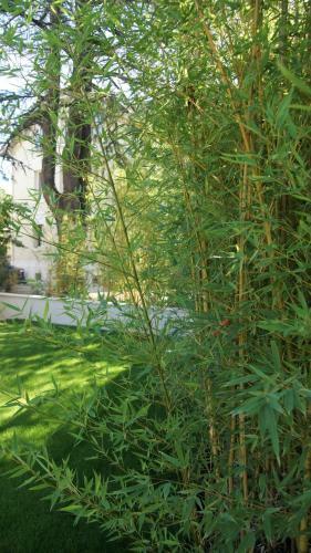 Hotel H�tel L'or�e Du Parc