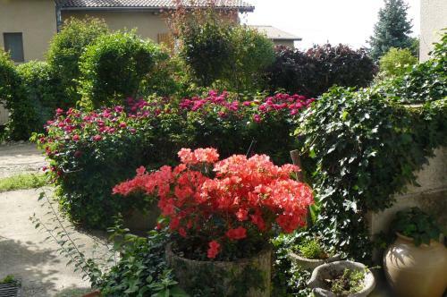 Bed & Breakfast Au Th� � La Menthe