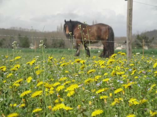 Bed & Breakfast Chambre D'h�tes