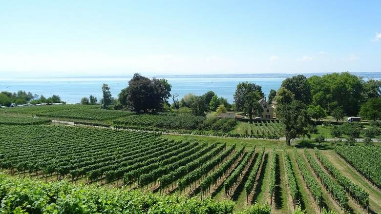 Bed & Breakfast Wohlf�hlhaus Immenstaad