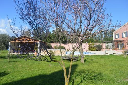 Bed & Breakfast La Bastide Des Oliviers