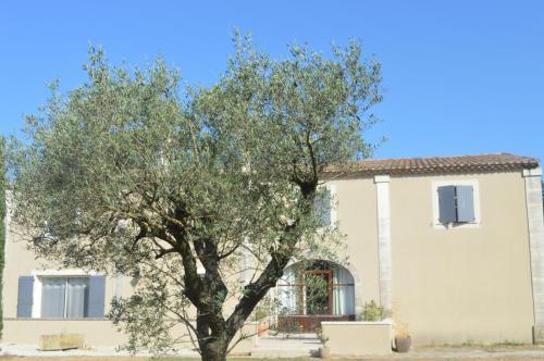 Bed & Breakfast La Bastide Des Oliviers