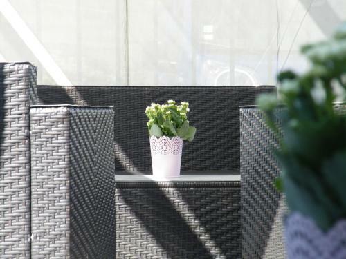 Hotel H�tel L'oray�