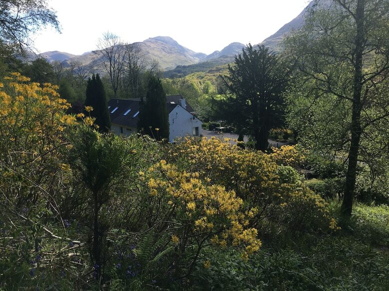 Bed & Breakfast Invercreran Lodge