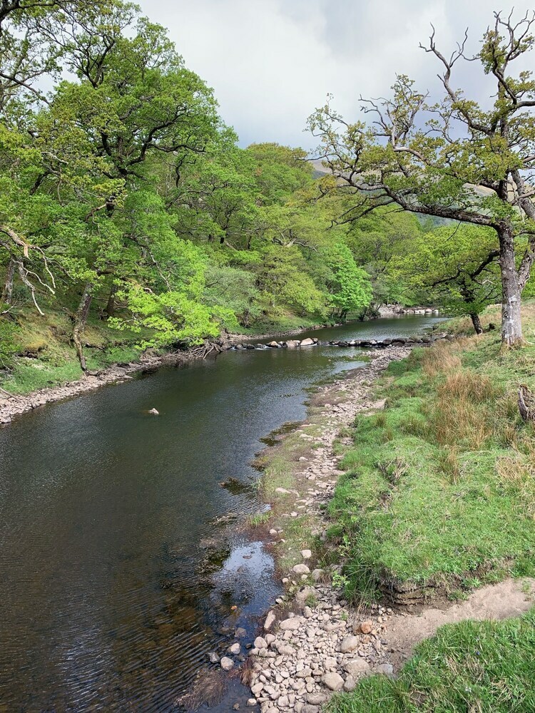 Bed & Breakfast Invercreran Lodge