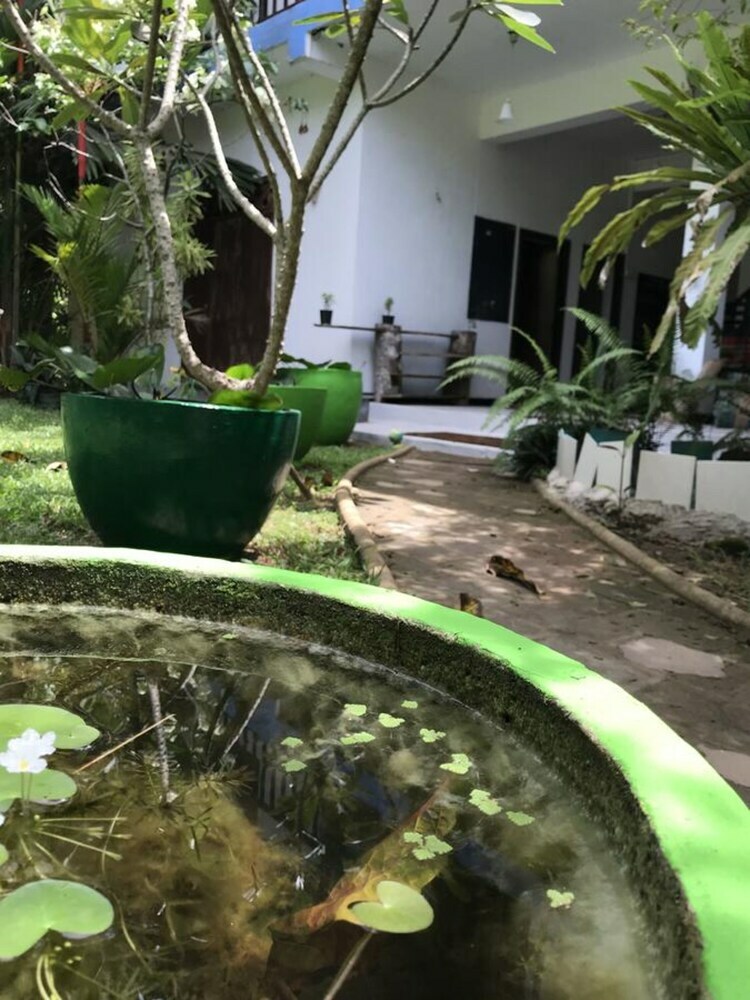 Hostal Unawatuna Hostel Honey Packers