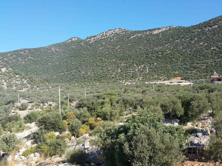 Habesa Bungalov & Apart Pansiyon