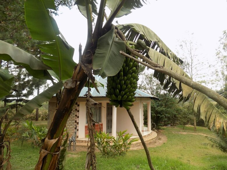 Bettina Resort Hotel