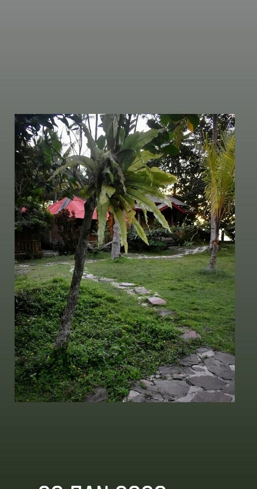 Bed & Breakfast Krui Mutun Walur