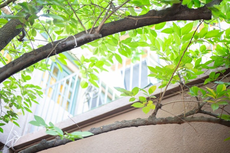 Veranda House On Samreklo 25