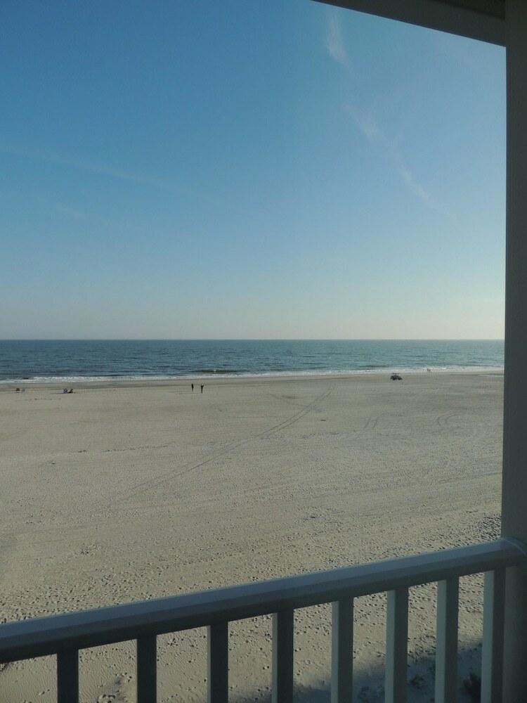 Pelicans Watch By Myrtle Beach Vr