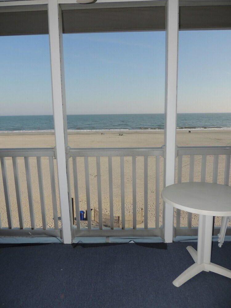 Pelicans Watch By Myrtle Beach Vr