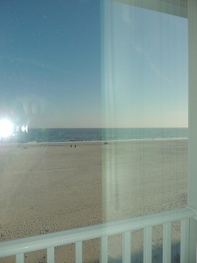 Pelicans Watch By Myrtle Beach Vr