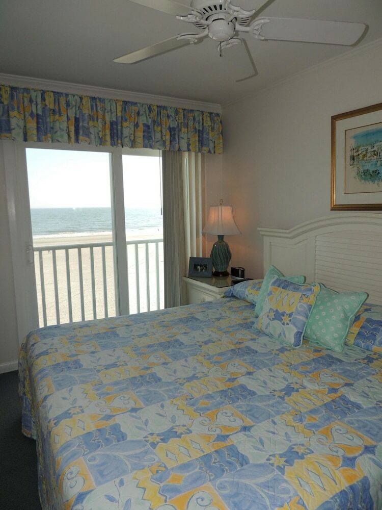 Pelicans Watch By Myrtle Beach Vr