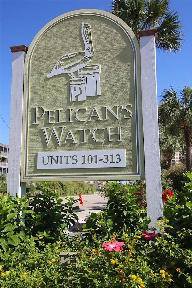 Pelicans Watch By Myrtle Beach Vr